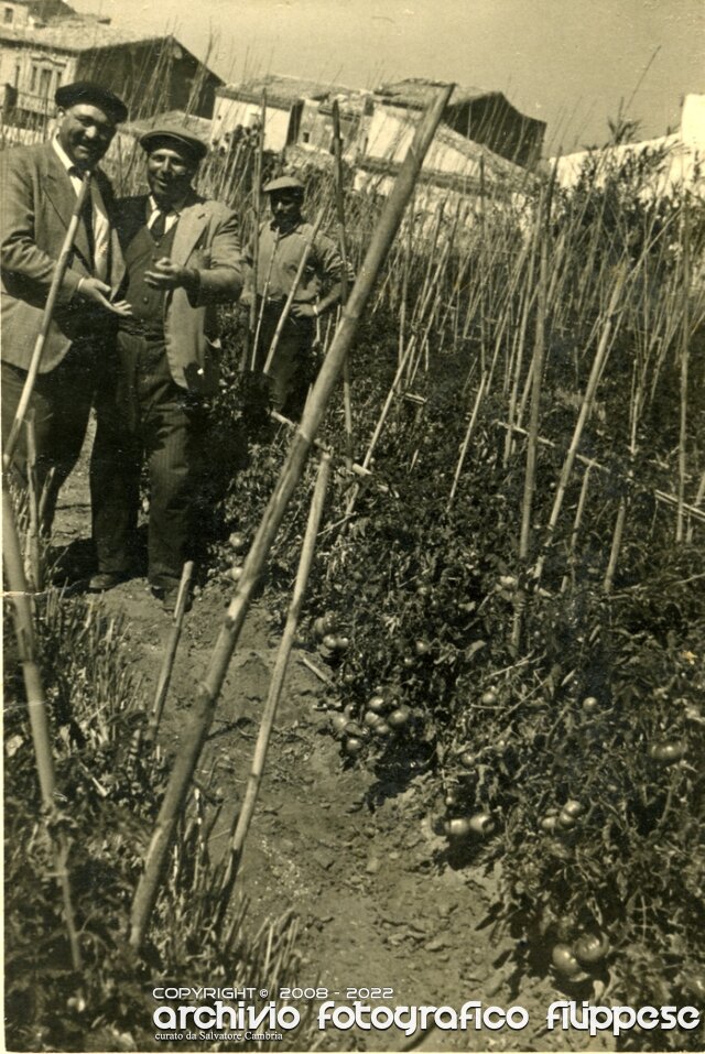 lavori in campagna-1